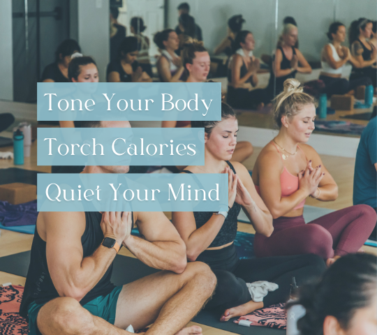 Yoga Studio Near Me Jacksonville Florida Yoga Studio Near Me Jacksonville Florida