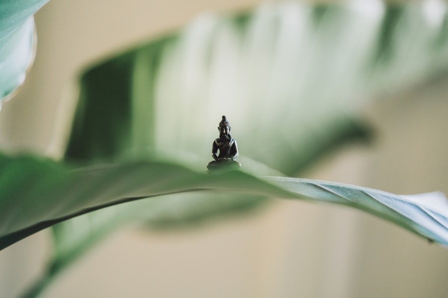 Photo Yoga Studio